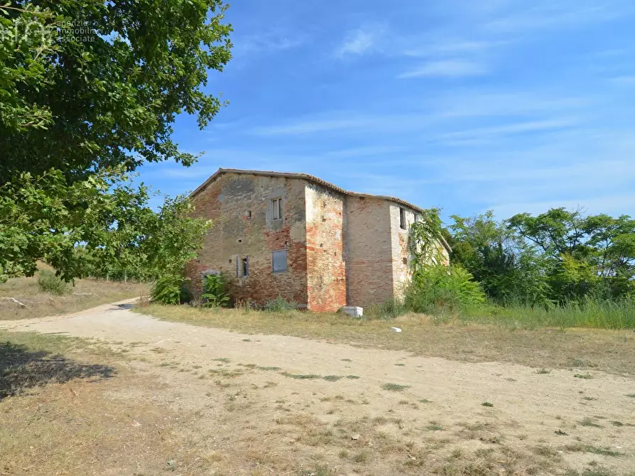 Immagine 14 di Rustico / casale in vendita  in Contrada Palazzi snc a Spinetoli