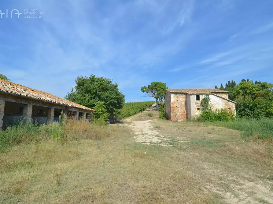 Immagine 15 di Rustico / casale in vendita  in Contrada Palazzi snc a Spinetoli