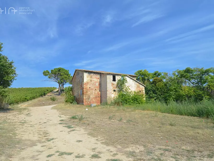 Immagine 17 di Rustico / casale in vendita  in Contrada Palazzi snc a Spinetoli