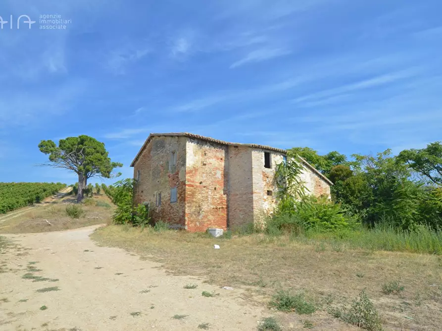 Immagine 19 di Rustico / casale in vendita  in Contrada Palazzi snc a Spinetoli