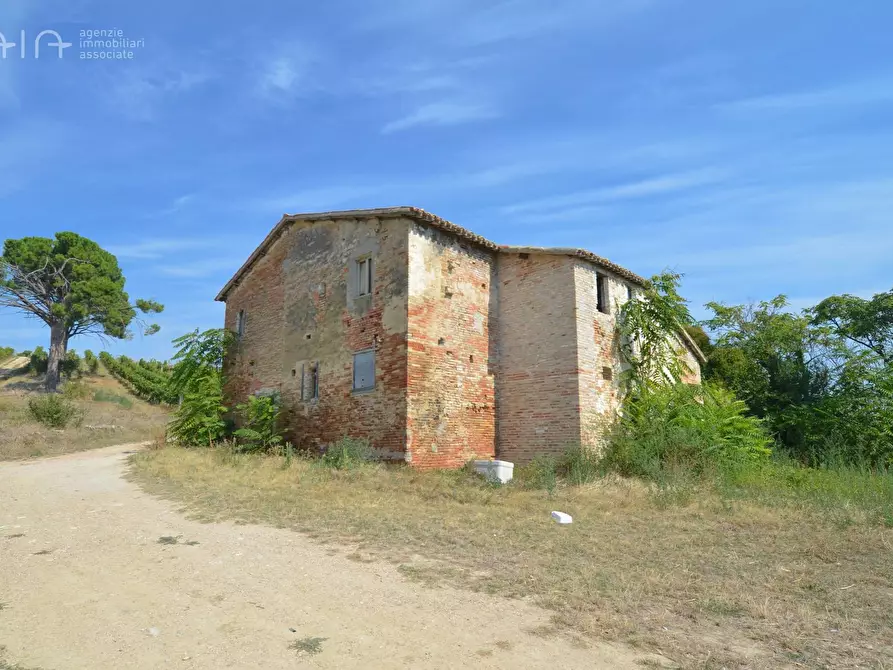 Immagine 20 di Rustico / casale in vendita  in Contrada Palazzi snc a Spinetoli