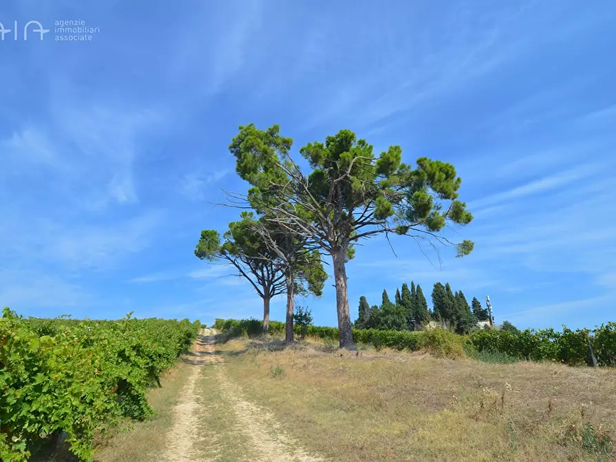 Immagine 21 di Rustico / casale in vendita  in Contrada Palazzi snc a Spinetoli
