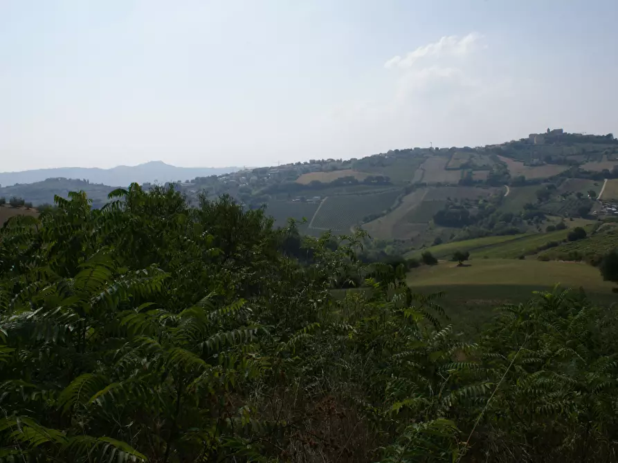 Immagine 3 di Rustico / casale in vendita  in Contrada Solagna Ragnola 13 a Monteprandone