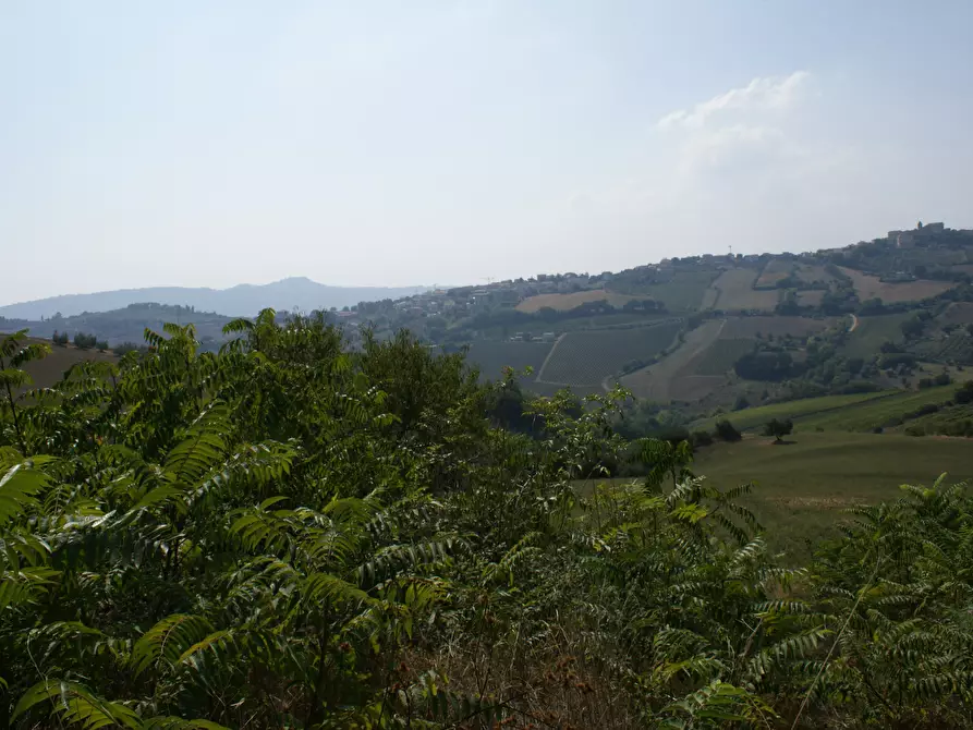 Immagine 18 di Rustico / casale in vendita  in Contrada Solagna Ragnola 13 a Monteprandone