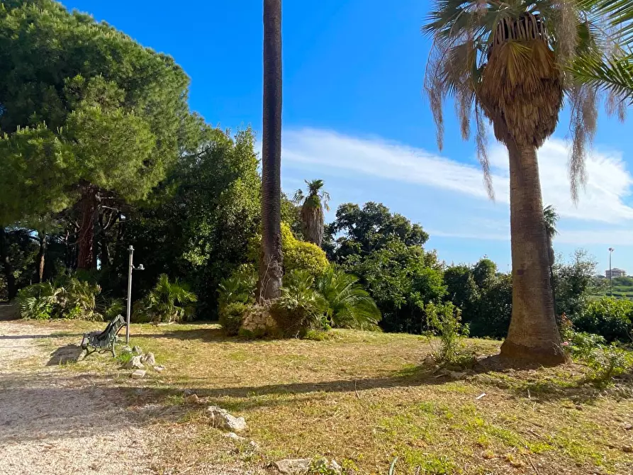 Immagine 40 di Villa in vendita  in Via Monte Aquilino 1 a San Benedetto Del Tronto