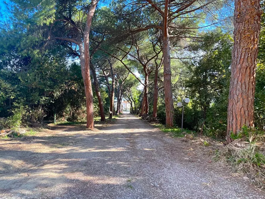 Immagine 41 di Villa in vendita  in Via Monte Aquilino 1 a San Benedetto Del Tronto