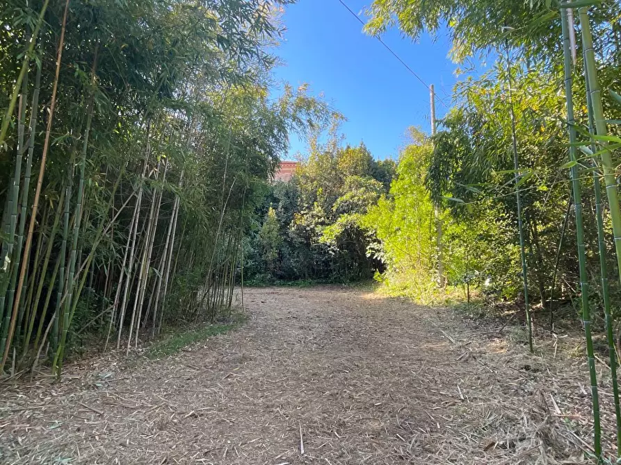 Immagine 49 di Villa in vendita  in Via Monte Aquilino 1 a San Benedetto Del Tronto