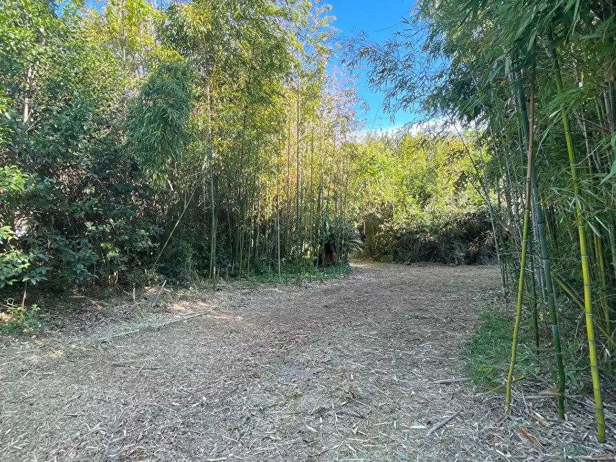 Immagine 60 di Villa in vendita  in Via Monte Aquilino 1 a San Benedetto Del Tronto