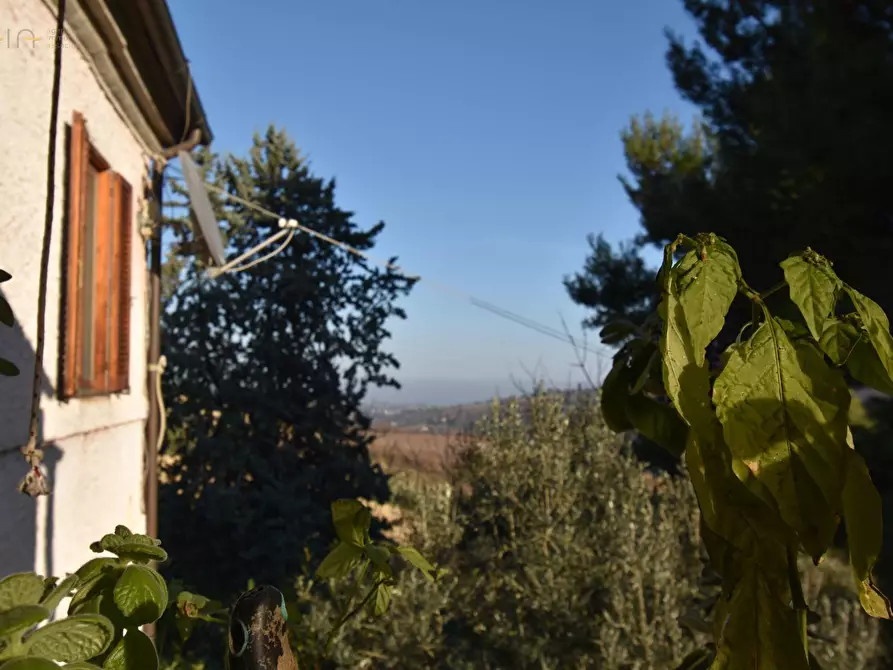 Immagine 5 di Villa in vendita  in Contrada Pianacciole a Ripatransone