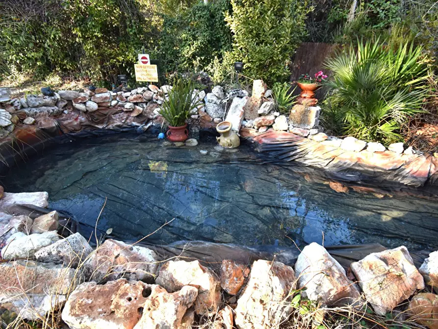 Immagine 10 di Villa in vendita  in Contrada Pianacciole a Ripatransone