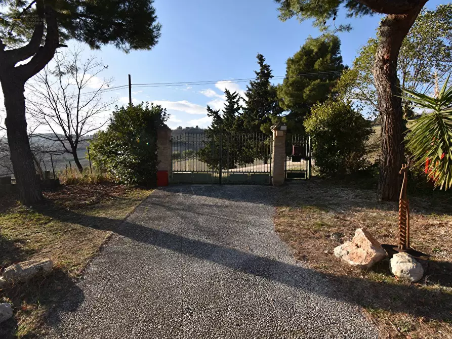 Immagine 11 di Villa in vendita  in Contrada Pianacciole a Ripatransone