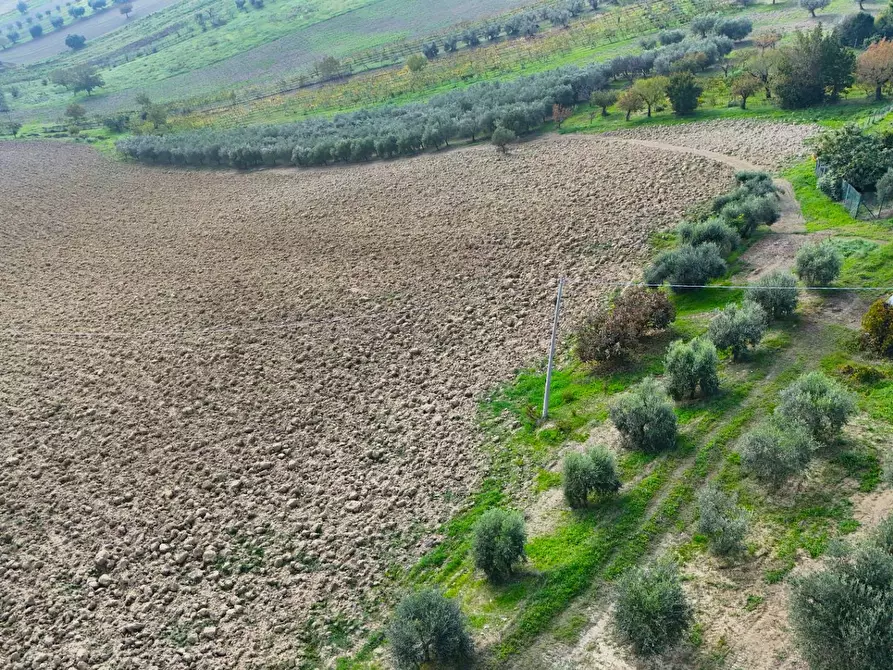 Immagine 9 di Terreno residenziale in vendita  in Contrada Monterone snc a Monteprandone