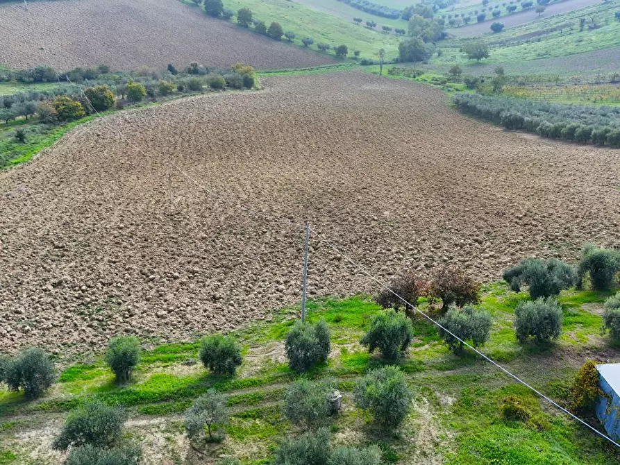 Immagine 10 di Terreno residenziale in vendita  in Contrada Monterone snc a Monteprandone