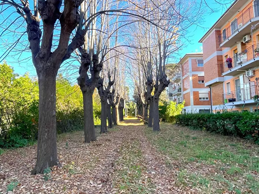 Immagine 4 di Palazzo in vendita  in Frazione Marino del Tronto a Ascoli Piceno