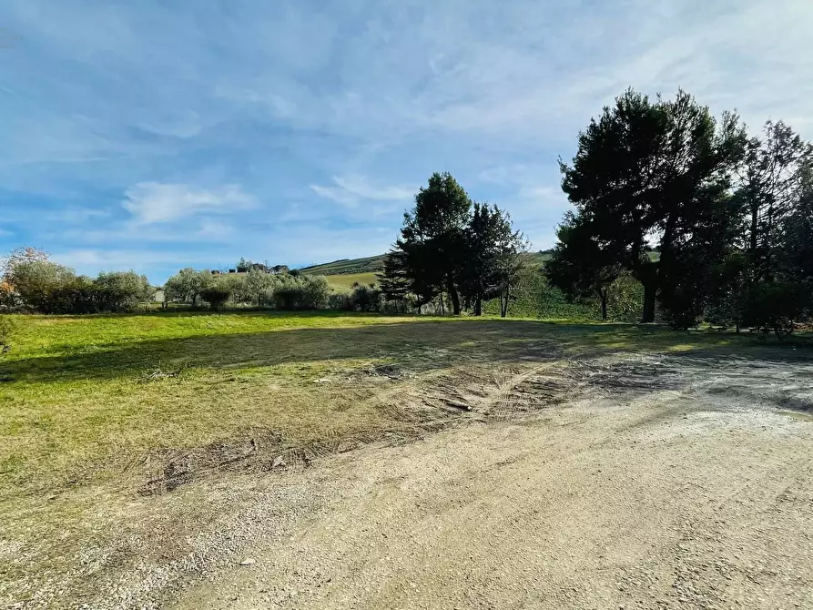 Immagine 22 di Rustico / casale in vendita  in Contrada Tronto snc a Ancarano