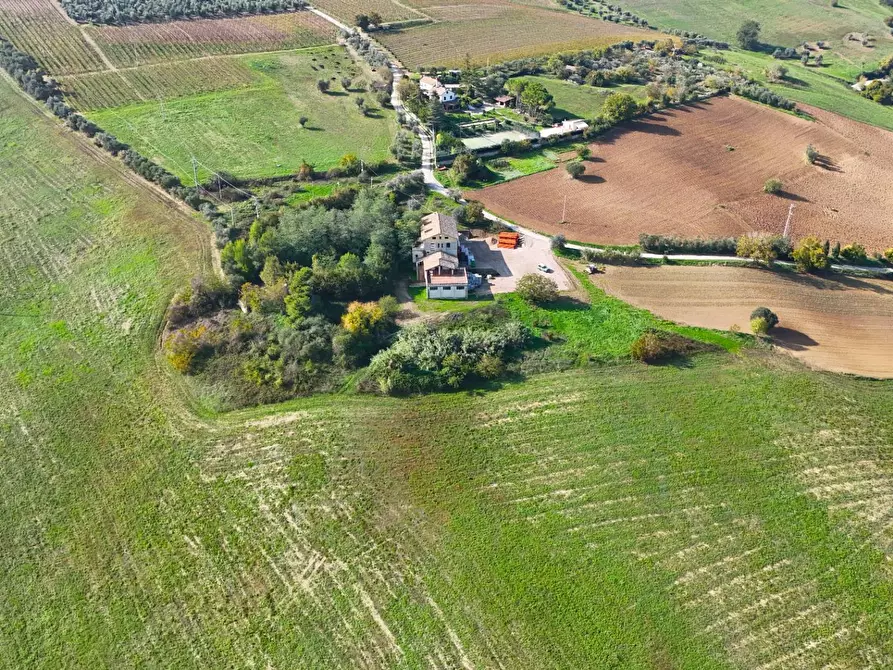 Immagine 21 di Rustico / casale in vendita  in Via Madonna delle Piane snc a Acquaviva Picena