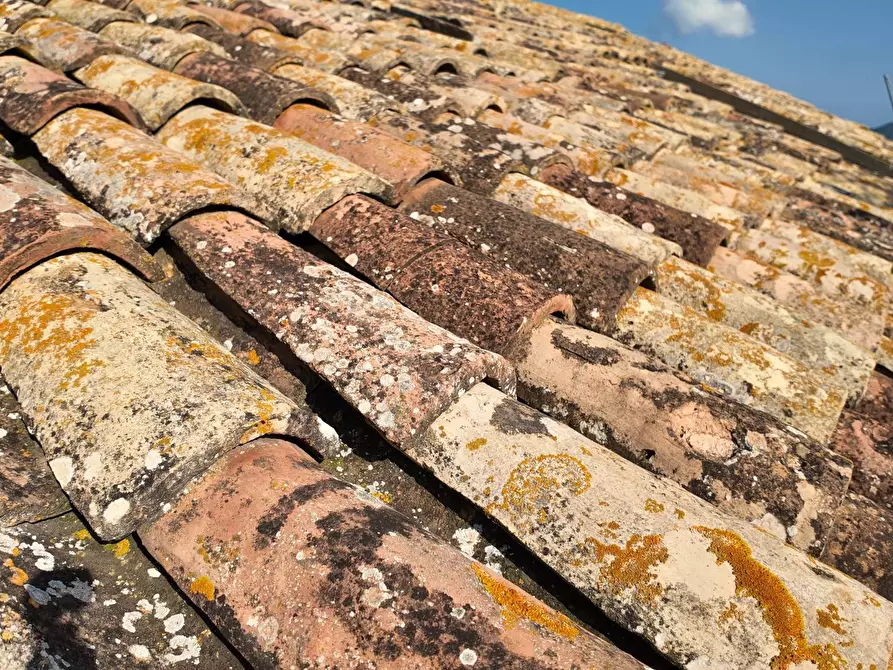 Immagine 51 di Rustico / casale in vendita  in Via Madonna delle Piane snc a Acquaviva Picena