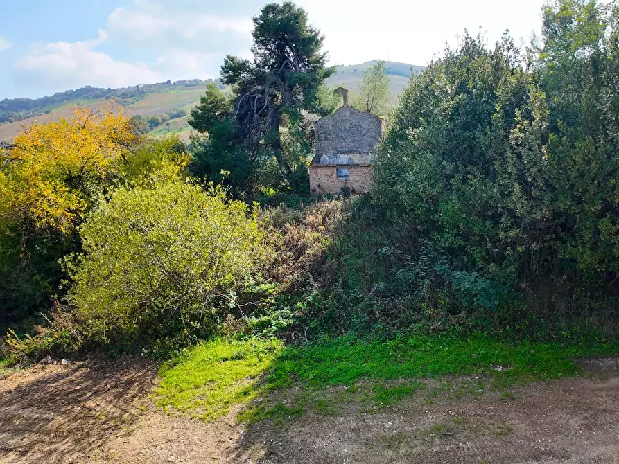 Immagine 49 di Rustico / casale in vendita  in Via Madonna delle Piane snc a Acquaviva Picena
