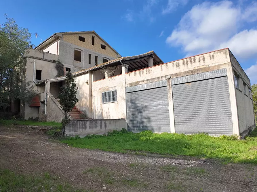 Immagine 53 di Rustico / casale in vendita  in Via Madonna delle Piane snc a Acquaviva Picena