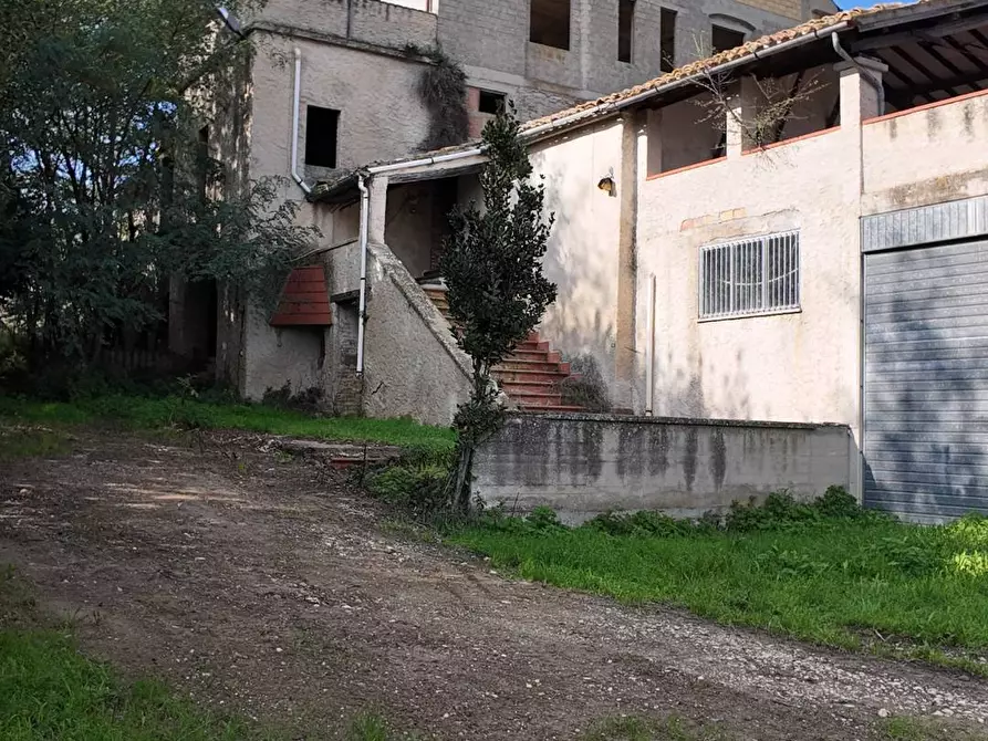 Immagine 54 di Rustico / casale in vendita  in Via Madonna delle Piane snc a Acquaviva Picena