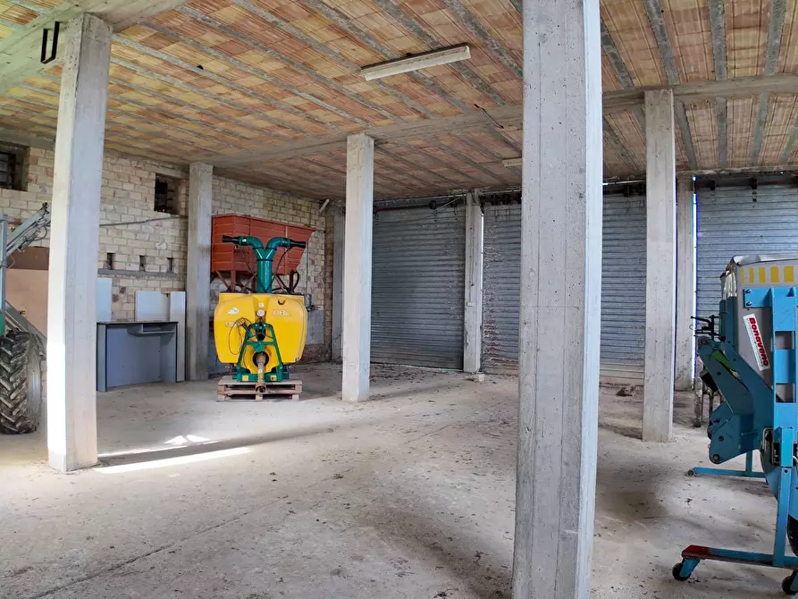 Immagine 58 di Rustico / casale in vendita  in Via Madonna delle Piane snc a Acquaviva Picena