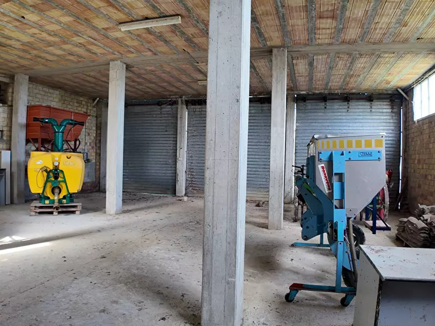 Immagine 59 di Rustico / casale in vendita  in Via Madonna delle Piane snc a Acquaviva Picena