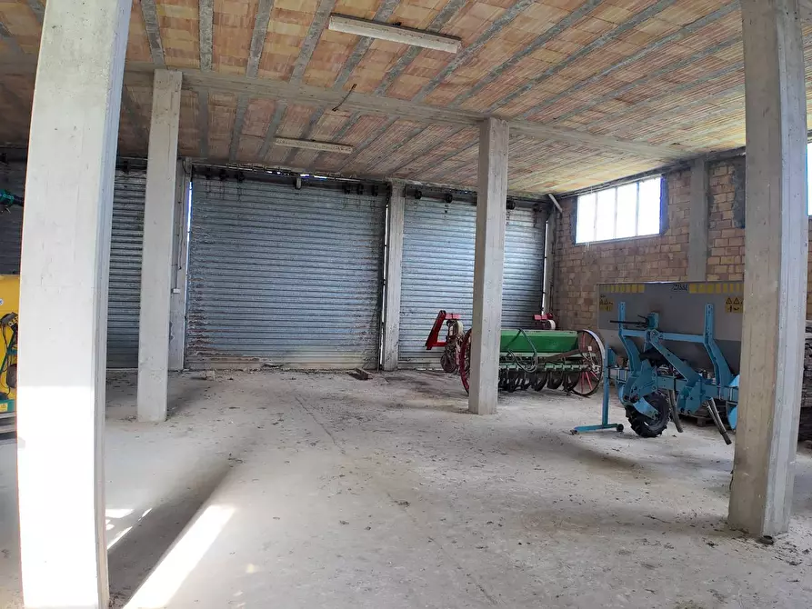 Immagine 60 di Rustico / casale in vendita  in Via Madonna delle Piane snc a Acquaviva Picena