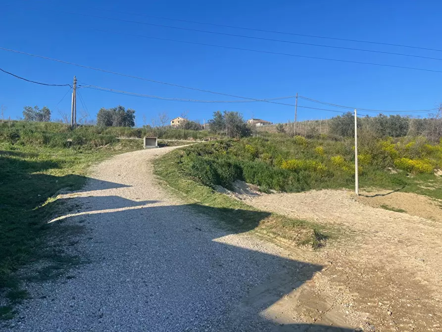 Immagine 3 di Casa indipendente in vendita  in Contrada san Lazzaro 104/a a Offida