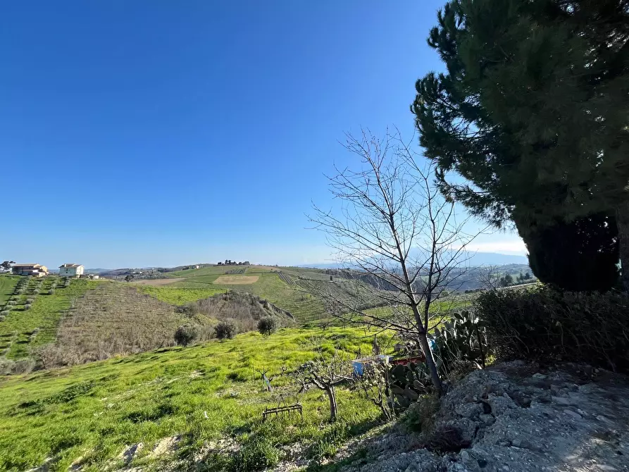 Immagine 17 di Casa indipendente in vendita  in Contrada san Lazzaro 104/a a Offida