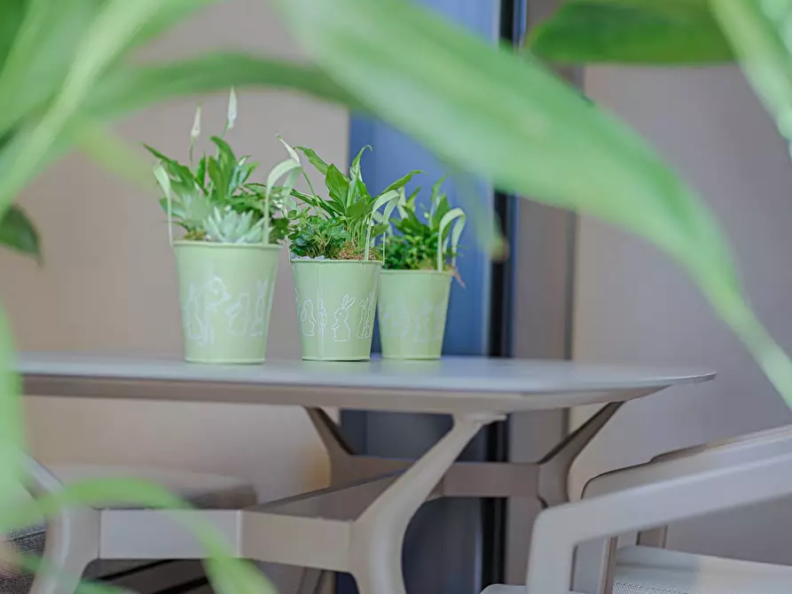 Immagine 25 di Appartamento in vendita  in Via Formentini 1 a San Benedetto Del Tronto