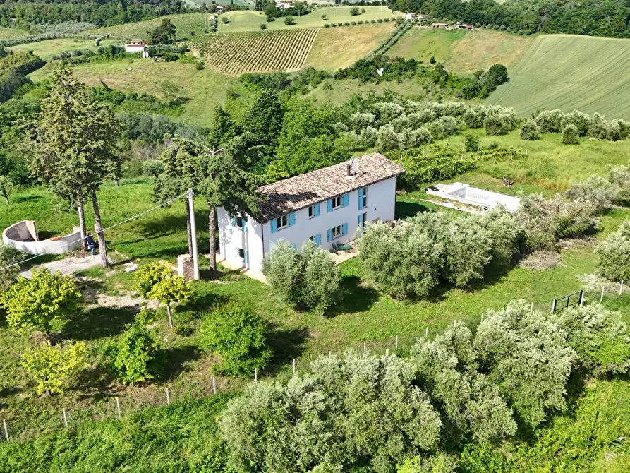 Immagine 5 di Rustico / casale in vendita  in Via Belsito 2 a Castorano