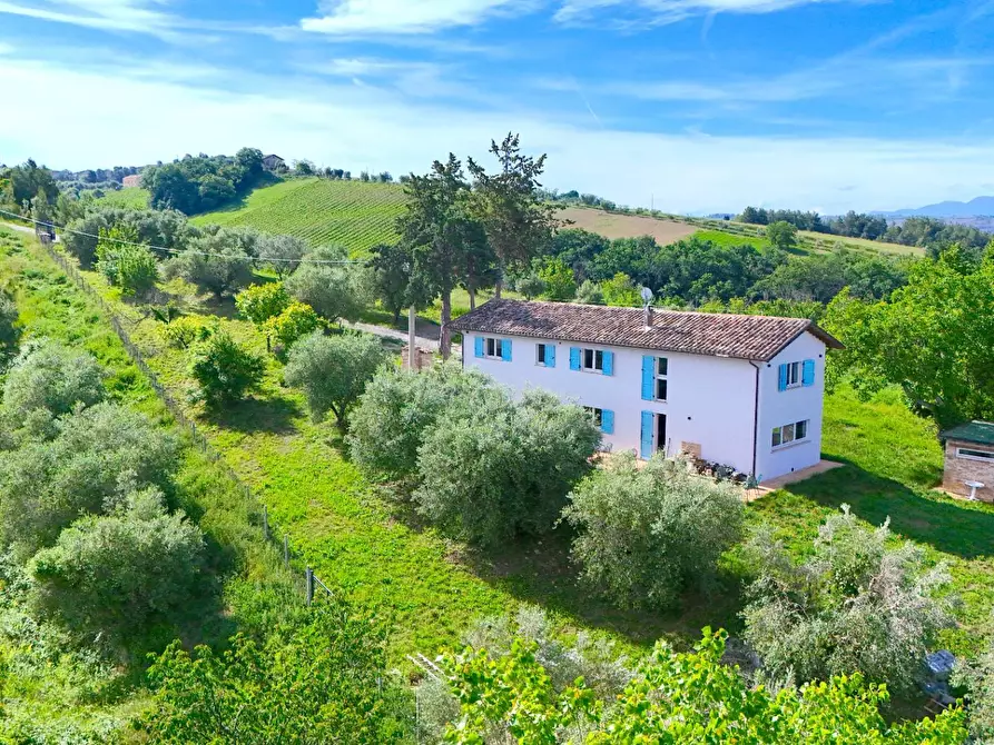 Immagine 7 di Rustico / casale in vendita  in Via Belsito 2 a Castorano