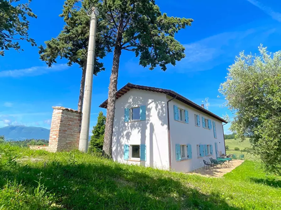 Immagine 14 di Rustico / casale in vendita  in Via Belsito 2 a Castorano