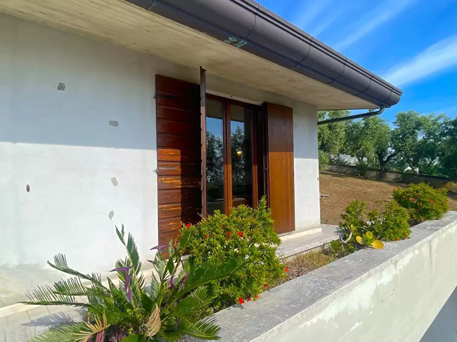 Immagine 43 di Villa in vendita  in Via Dei Tigli 6 a San Benedetto Del Tronto