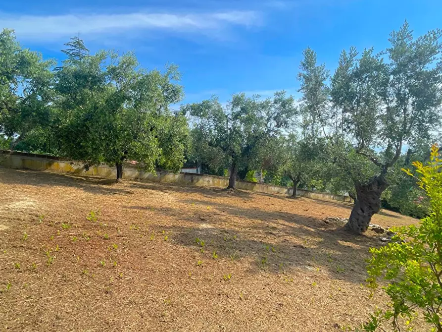 Immagine 44 di Villa in vendita  in Via Dei Tigli 6 a San Benedetto Del Tronto