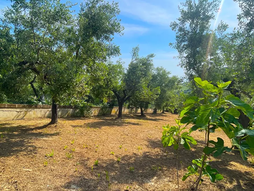 Immagine 76 di Villa in vendita  in Via Dei Tigli 6 a San Benedetto Del Tronto