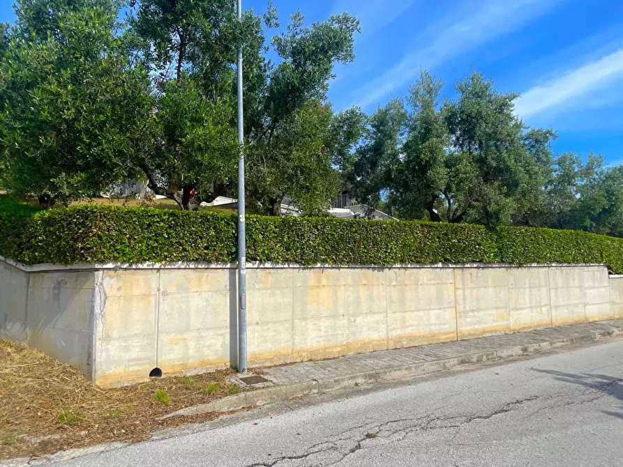 Immagine 98 di Villa in vendita  in Via Dei Tigli 6 a San Benedetto Del Tronto