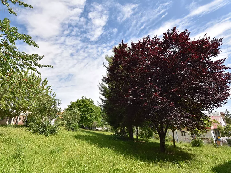 Immagine 12 di Appartamento in vendita  in Via Giovanni Verga 7 a Monsampolo Del Tronto