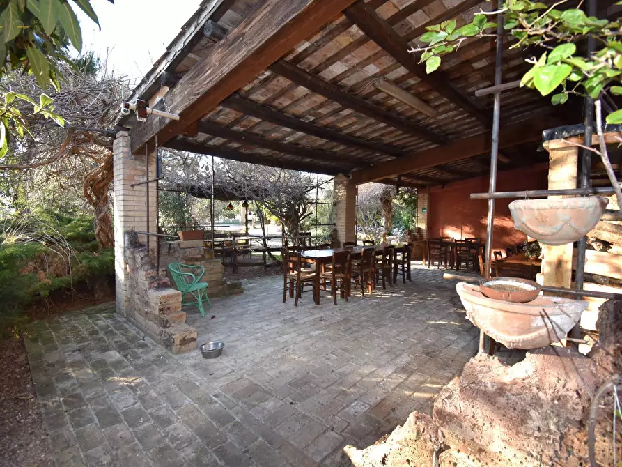 Immagine 15 di Rustico / casale in vendita  in Contrada Pianacciole a Ripatransone