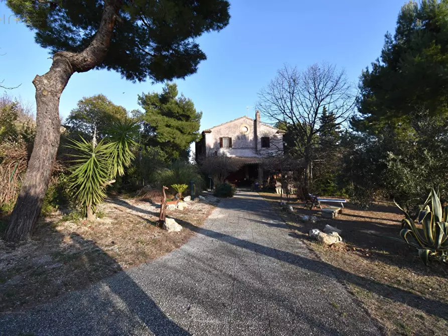 Immagine 17 di Rustico / casale in vendita  in Contrada Pianacciole a Ripatransone