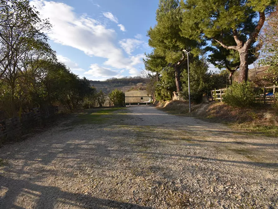 Immagine 27 di Rustico / casale in vendita  in Contrada Pianacciole a Ripatransone