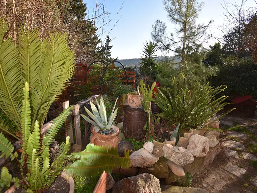 Immagine 23 di Albergo/B&B/Residence in vendita  in Contrada Pianacciole a Ripatransone