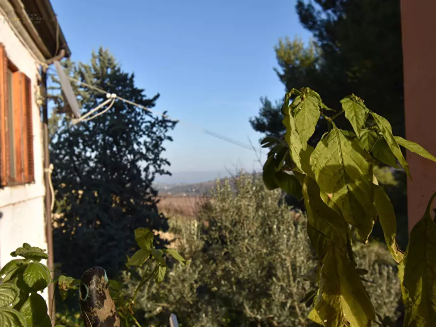 Immagine 14 di Albergo/B&B/Residence in vendita  in Contrada Pianacciole a Ripatransone