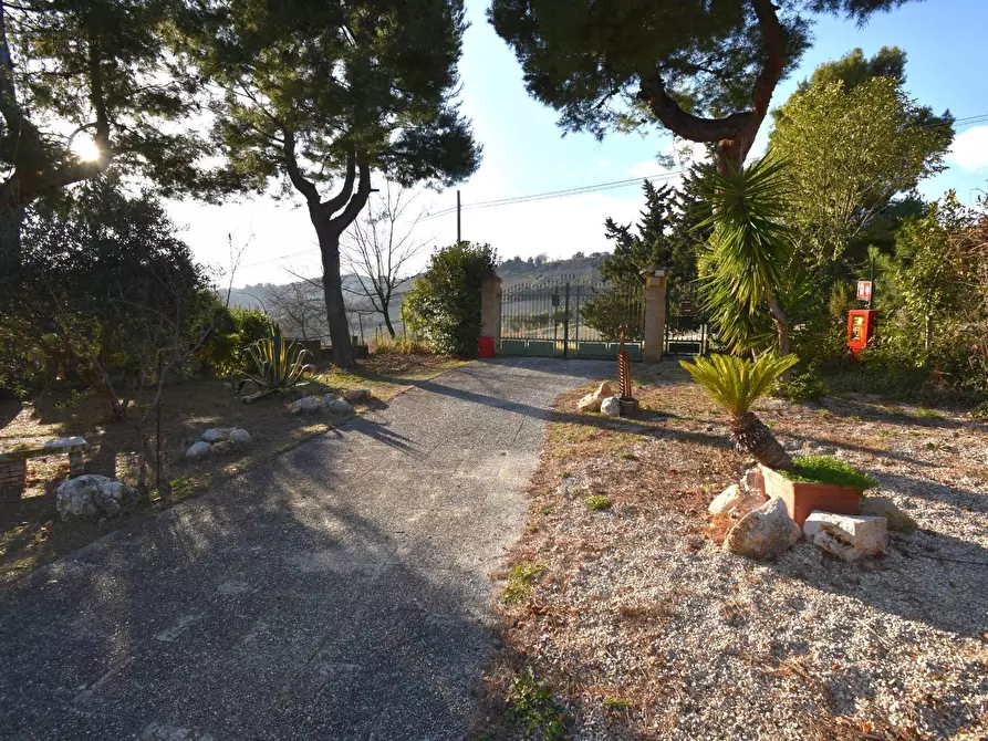 Immagine 21 di Albergo/B&B/Residence in vendita  in Contrada Pianacciole a Ripatransone