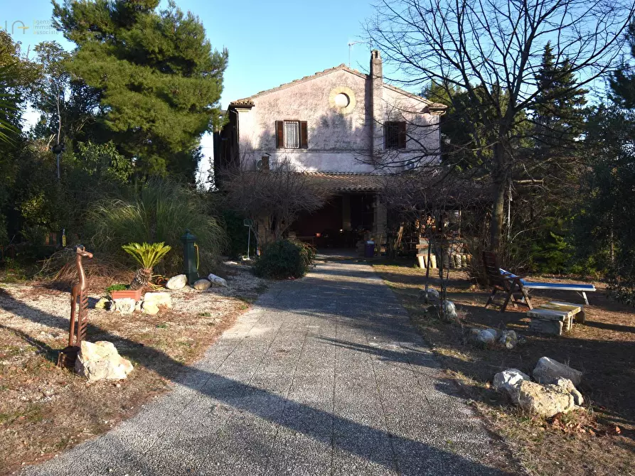 Immagine 19 di Albergo/B&B/Residence in vendita  in Contrada Pianacciole a Ripatransone