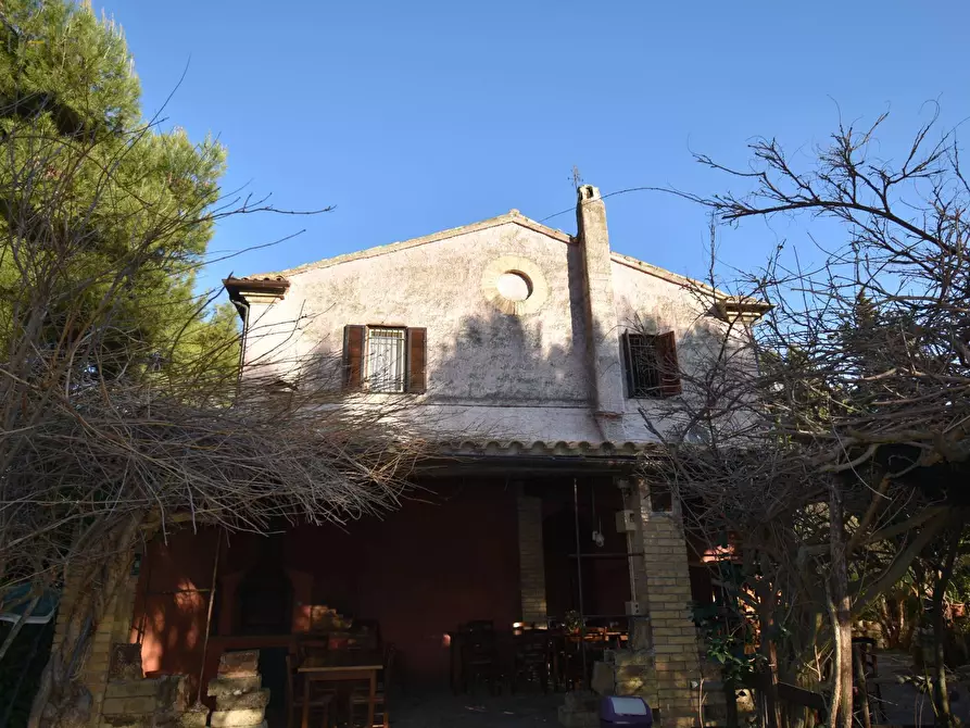 Immagine 20 di Albergo/B&B/Residence in vendita  in Contrada Pianacciole a Ripatransone