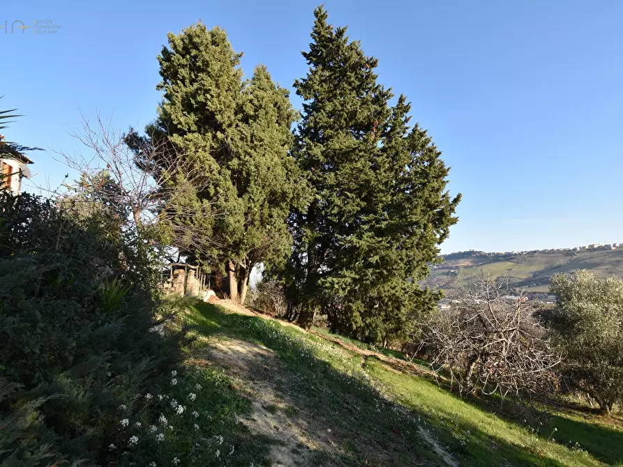 Immagine 27 di Albergo/B&B/Residence in vendita  in Contrada Pianacciole a Ripatransone