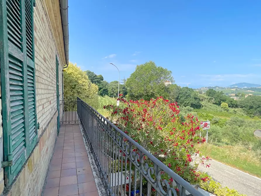Immagine 31 di Rustico / casale in vendita  in Contrada Dietro La Chiesa 1 a Monsampolo Del Tronto