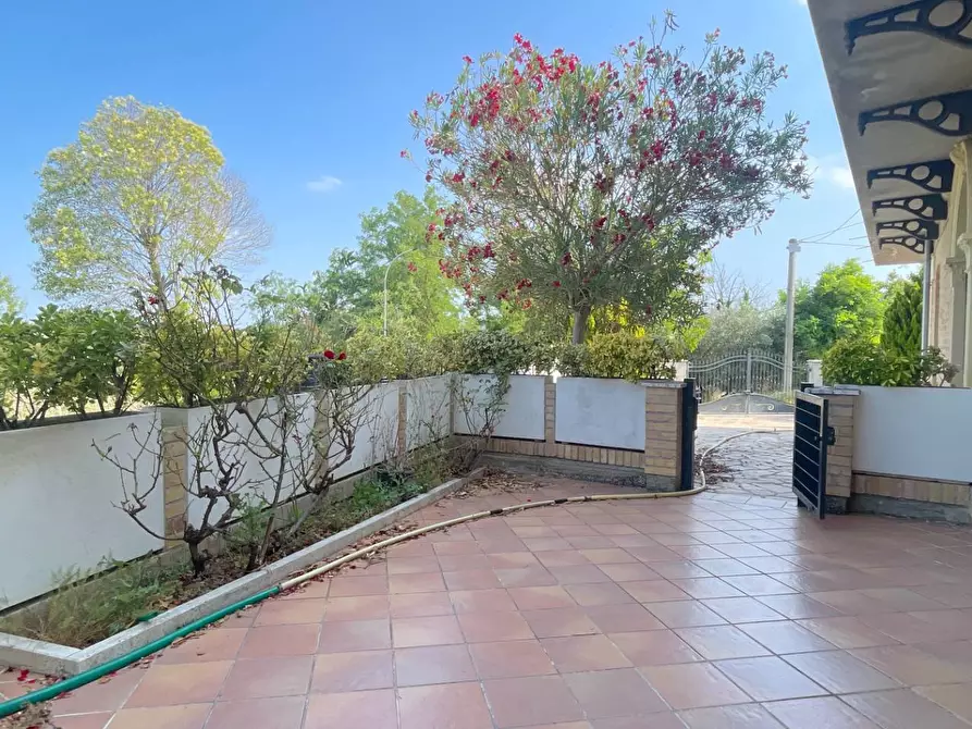 Immagine 5 di Rustico / casale in vendita  in Contrada Dietro La Chiesa 1 a Monsampolo Del Tronto