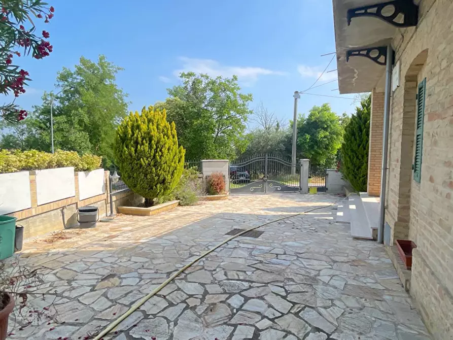 Immagine 39 di Rustico / casale in vendita  in Contrada Dietro La Chiesa 1 a Monsampolo Del Tronto